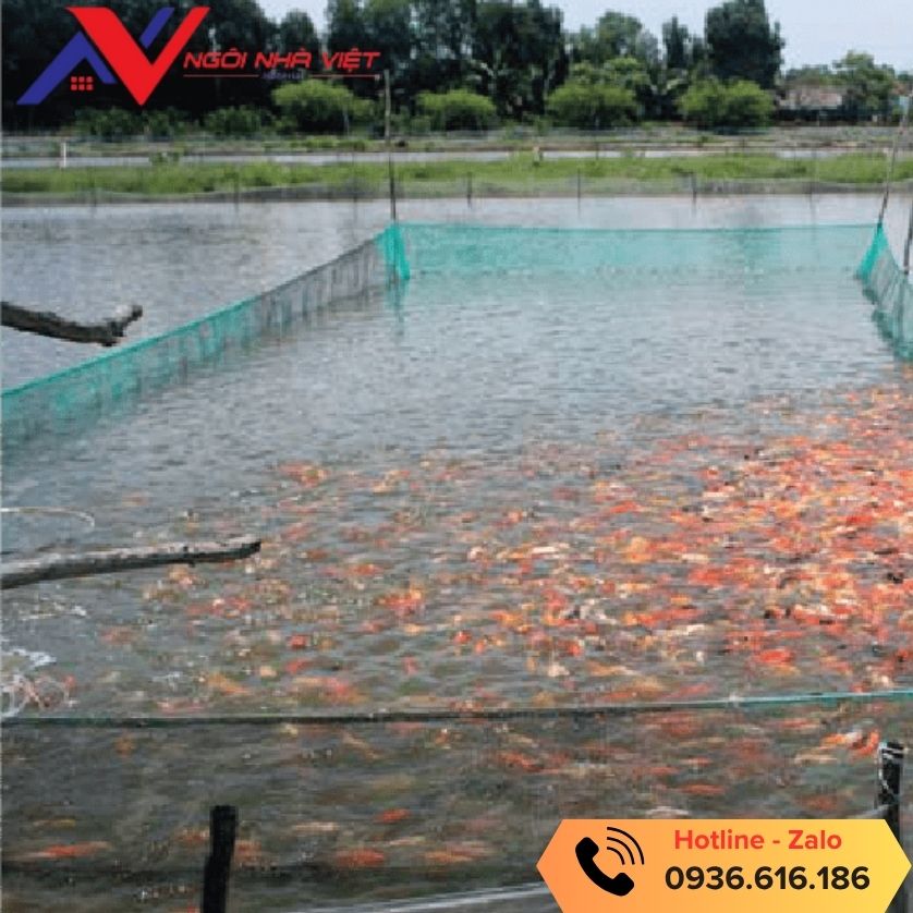 Lưới nuôi cá và thủy hải sản tại Vật Tư Giá Tốt Lưới nuôi cá và thủy hải sản tại Vật Tư Giá Tốt