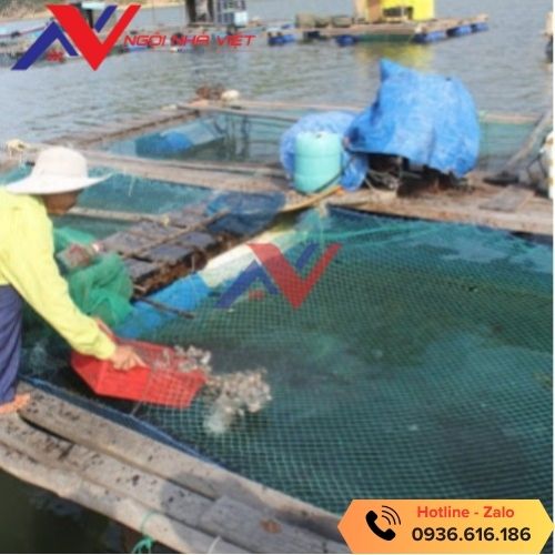 Lưới nuôi trồng thủy sản