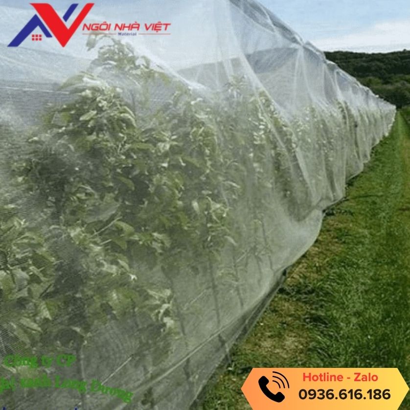 Sử dụng lưới chắn côn trùng cho nông nghiệp xanh Sử dụng lưới chắn côn trùng cho nông nghiệp xanh