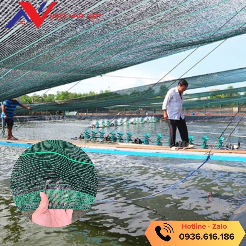 Dùng lưới che nắng để làm mát cho ao