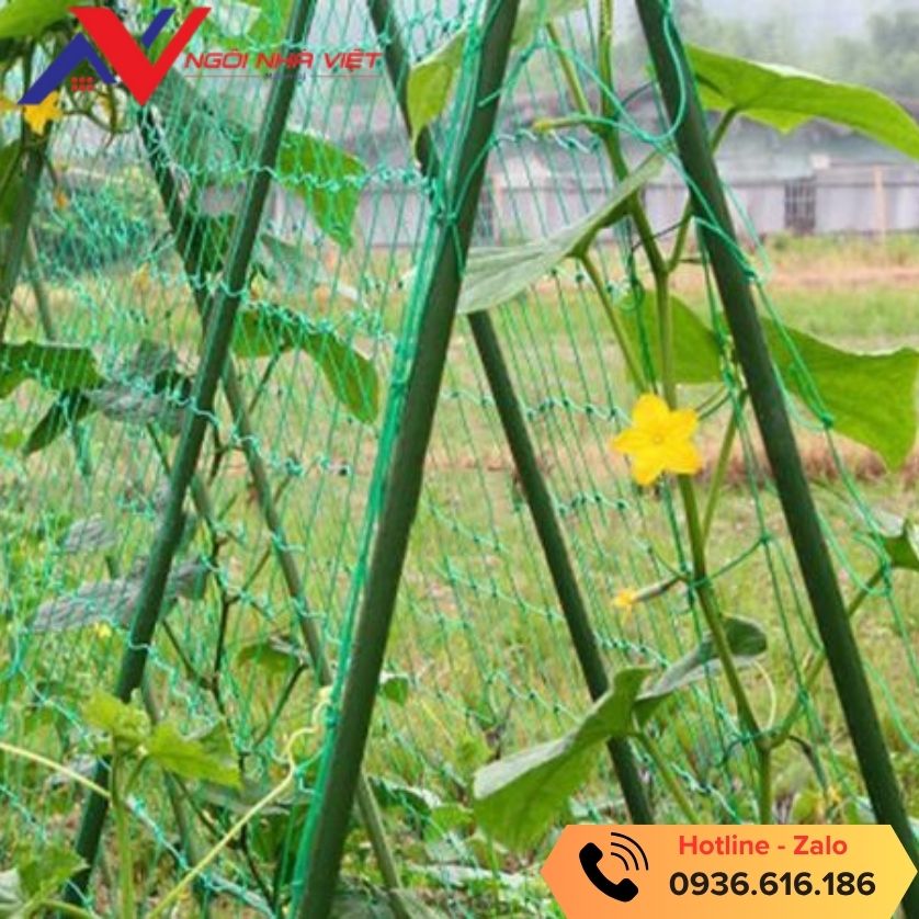 Lưới dây leo đầy đủ màu sắc và kích cỡ mắt lưới Lưới dây leo đầy đủ màu sắc và kích cỡ mắt lưới