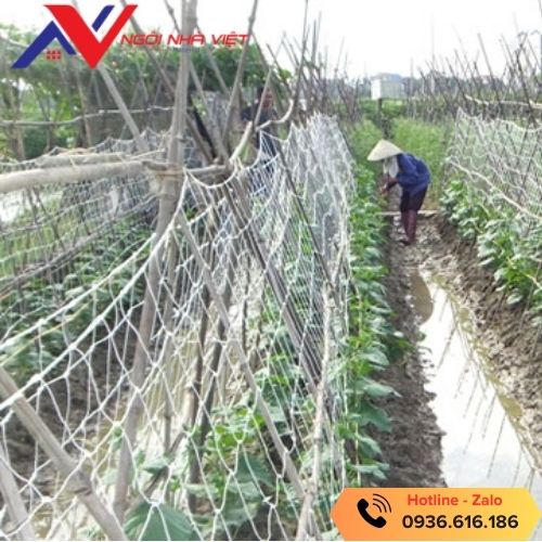 Lưới giàn leo cho cây trồng