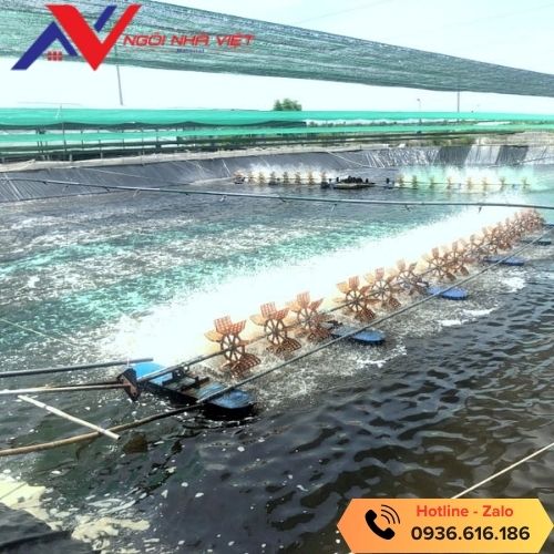 Lưới nuôi tôm Vật Tư Giá Tốt