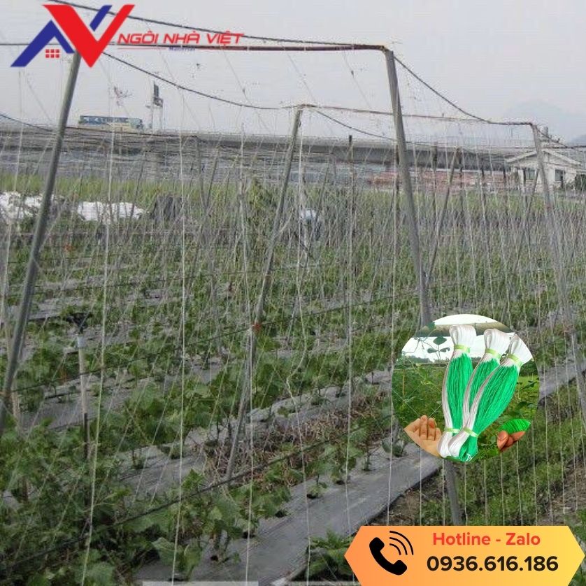 Lưới trồng cây leo