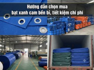 Hướng dẫn chọn mua bạt xanh cam